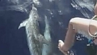 Tyche op de oceaan