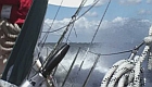 HOOGtepunten zomer 2007